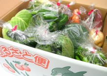 天草野菜詰め合わせ写真